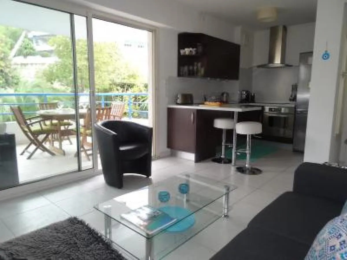 Modern One Bedroomed Apartment Just Off The Cannes Seafront With A Terrace And Pool Access 1753