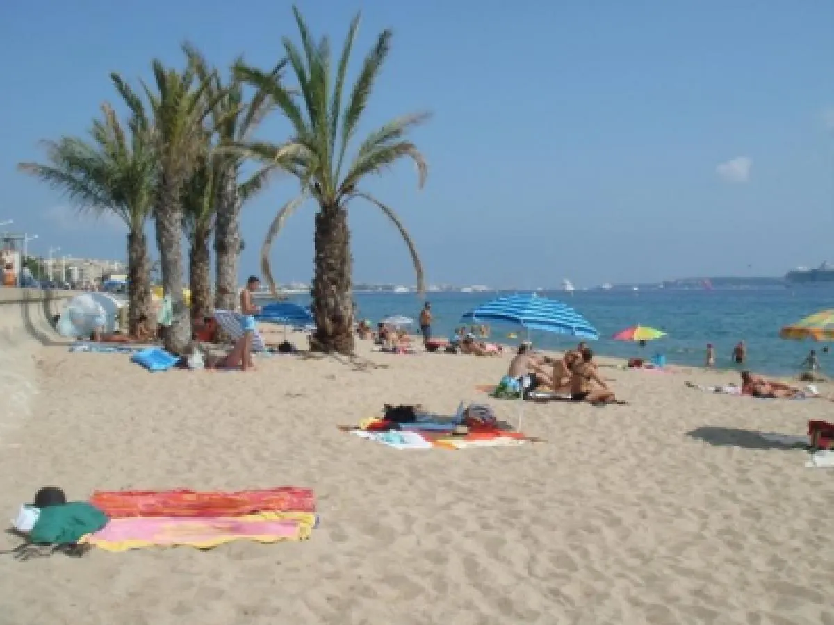 Modern One Bedroomed Apartment Just Off The Cannes Seafront With A Terrace And Pool Access 1753
