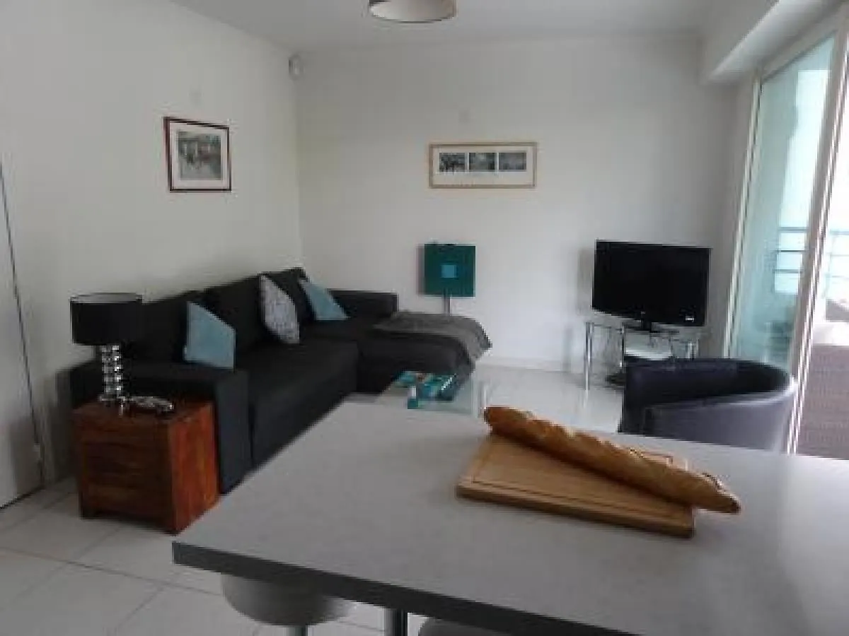 Modern One Bedroomed Apartment Just Off The Cannes Seafront With A Terrace And Pool Access 1753 France