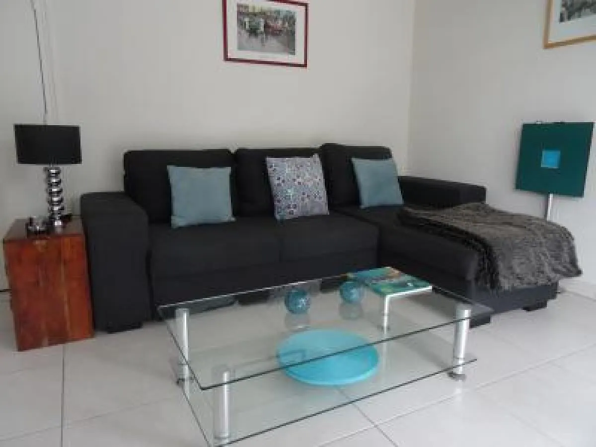 Modern One Bedroomed Apartment Just Off The Cannes Seafront With A Terrace And Pool Access 1753