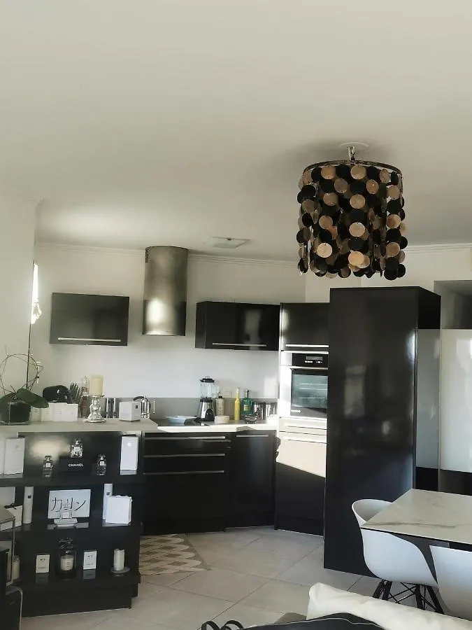 Modern One Bedroomed Apartment Just Off The Cannes Seafront With A Terrace And Pool Access 1753